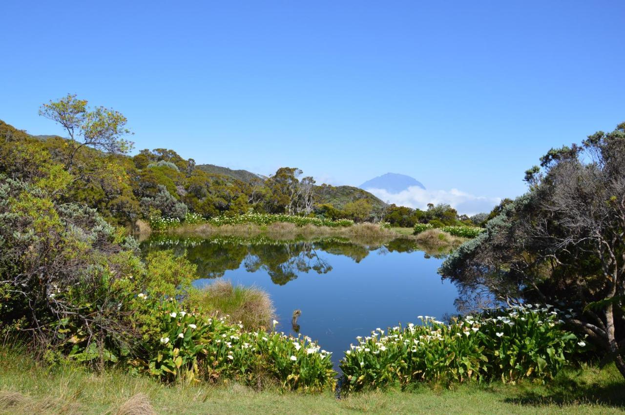 Relais Du Volcan Ла Плен де Кафр Екстериор снимка